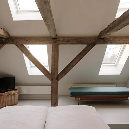 公寓 Alte Schmiede Saal