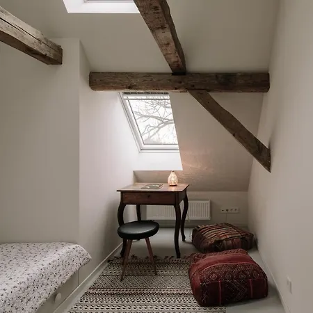 Alte Schmiede 公寓