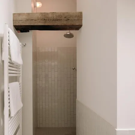 Alte Schmiede Apartment Saal