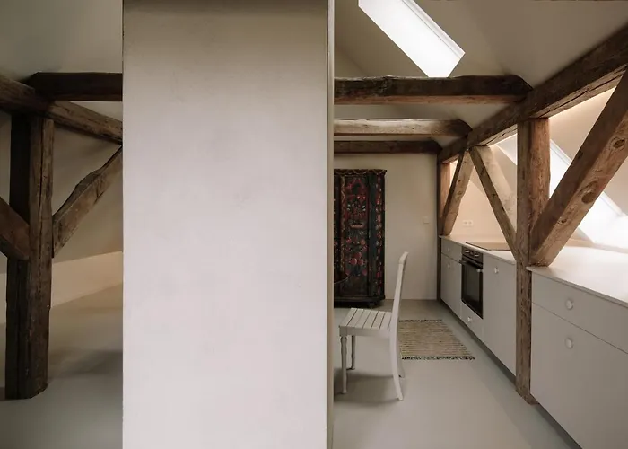 公寓 Alte Schmiede Saal